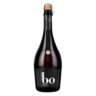 Casas Del Bosque Bo Extra Brut