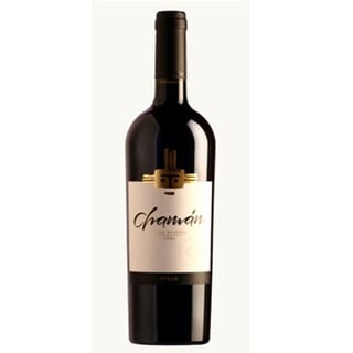 Chamán Gran Reserva Syrah Santa Cruz
