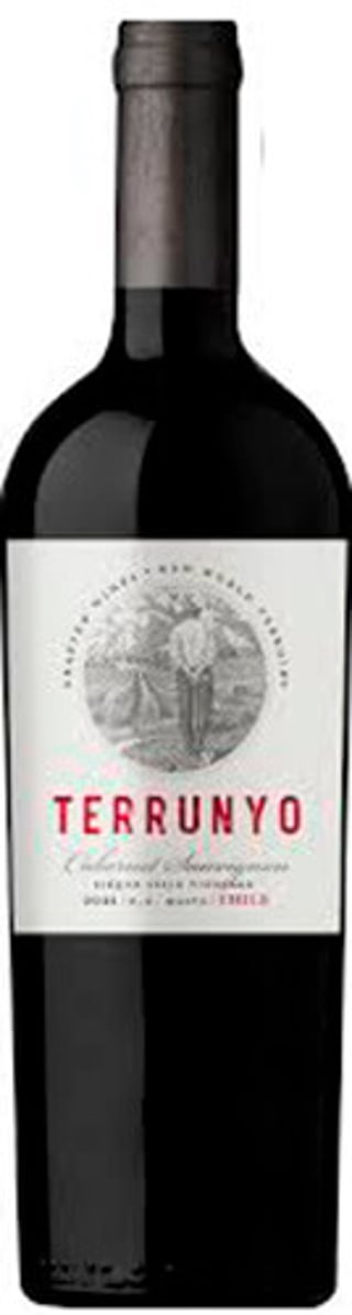 Concha Y Toro Terrunyo Cabernet Sauvignon 2021