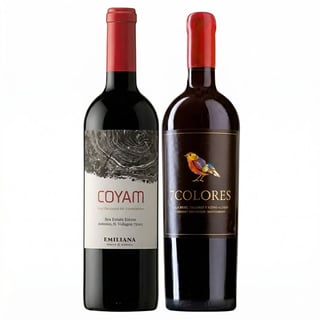 DUO COYAM - 7 COLORES: 1x Vino Orgánico COYAM 750cc + 1x Vino 7 Colores Icono Alzado Cabernet Sauvignon 750cc