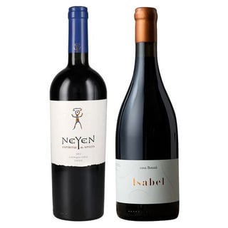 DUO ÍCONOS: 1x Vino Ícono Neyen de Apalta Blend 750cc + 1x Vino Ícono Casa Bauzá Isabel 750cc