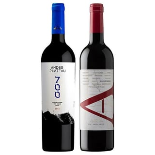 DUO VIK - ANDES PLATEAU: 1x Vino VIK A Carmenere 750cc + 1x Vino Andes Plateau 700 High Altitude Red Blend 750cc