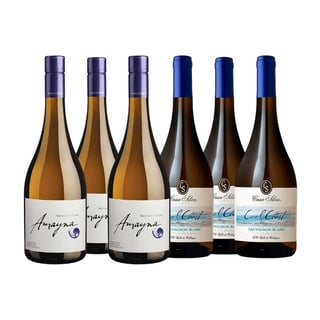 Experiencia Sauvignon Blanc (6 Vinos)