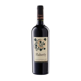 Flaherty Aconcagua