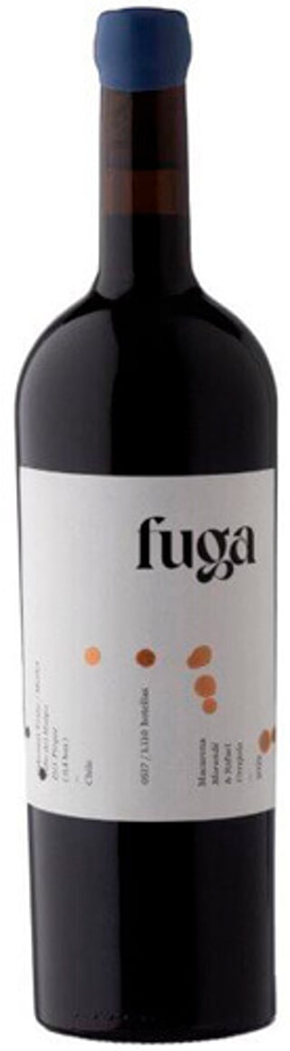Fuga Ensamblaje Tinto 2024