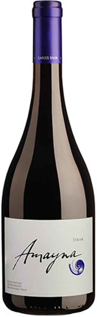Garces Silva Amayna Syrah 2021