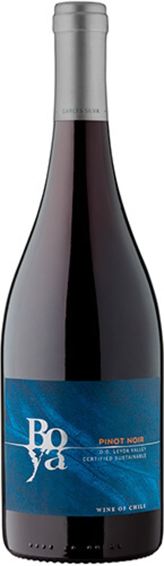 Garces Silva Boya Pinot Noir 2020