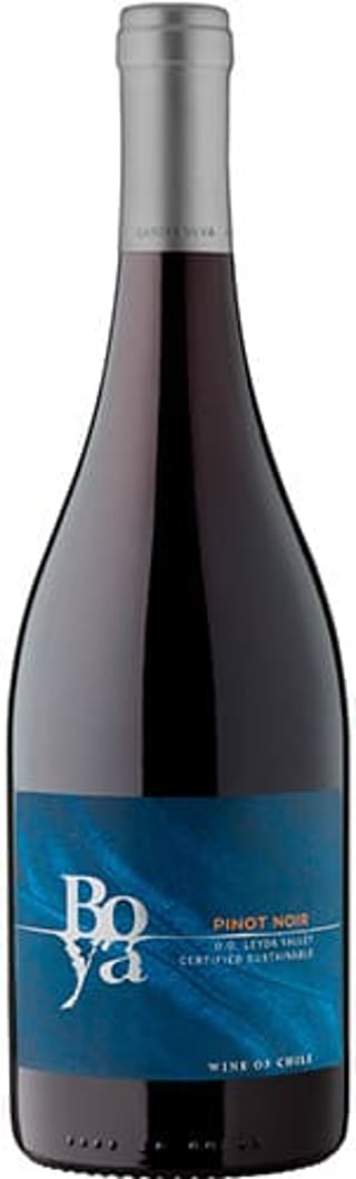 Garces Silva Boya Pinot Noir 2021