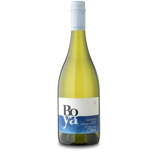 Garces Silva Boya Premium Sauvignon Blanc
