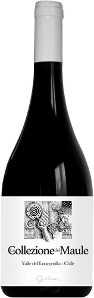 Gillmore Collezione Ensamblaje Tinto 2022