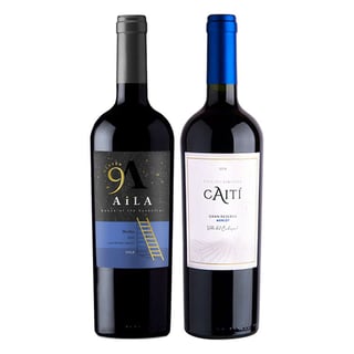 GRAN DUO (Merlot): 1x Vino Caiti Gran Reserva Merlot 750cc + 1x Vino Aila Heaven Gran Reserva Merlot 750cc