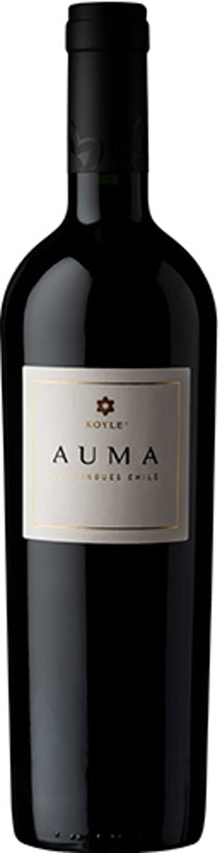 Koyle Auma Ensamblaje Tinto 2015