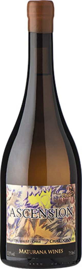 Maturana Wines Ascension Chardonnay 2021