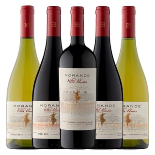 Mixta Morandé Vitis Unica