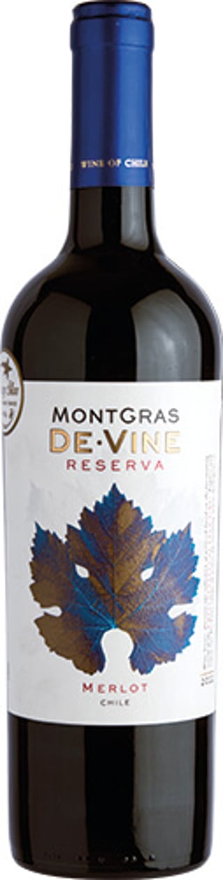 Montgras De Vine Merlot Reserva 2022