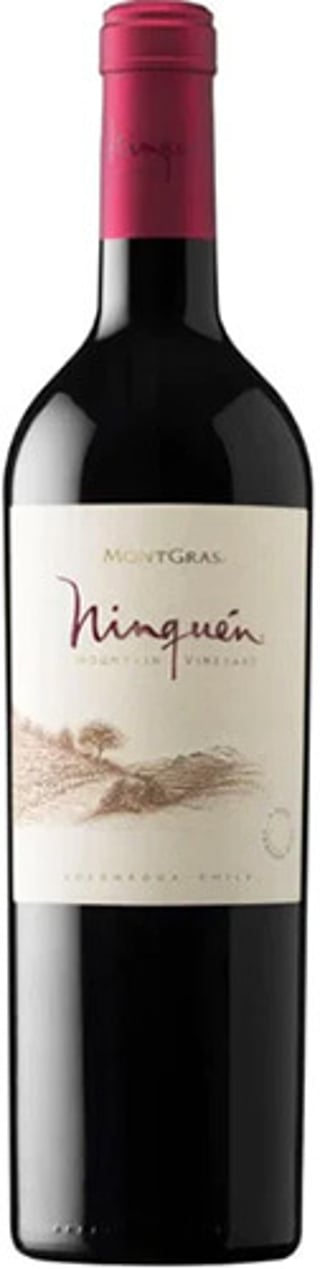 Montgras Ninquen Ensamblaje Tinto 2022