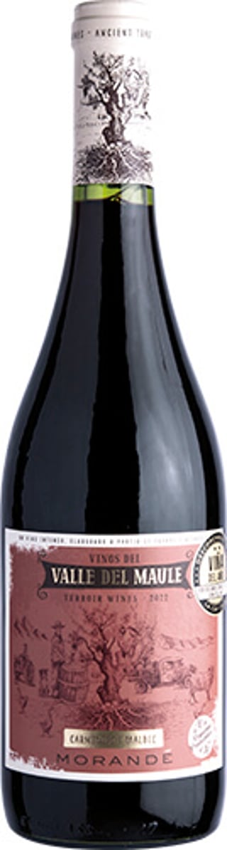 Morande Terroir Wines Carmenere/malbec 2022
