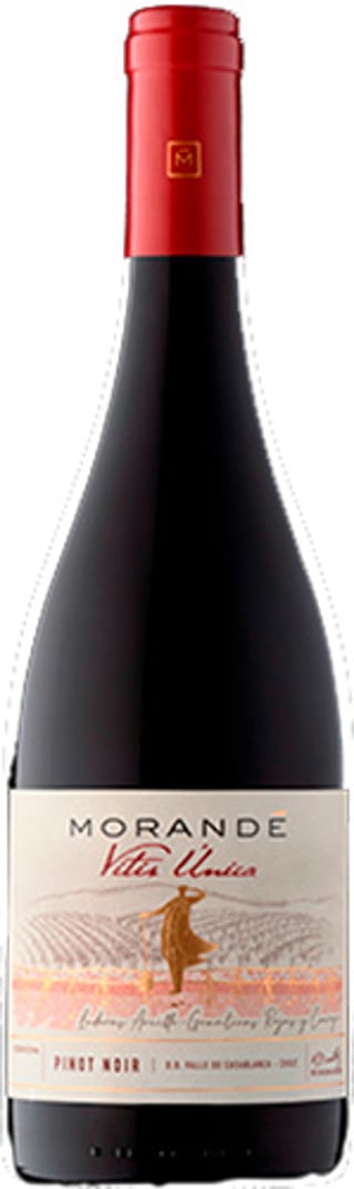 Morande Vitis Unica Pinot Noir 2022