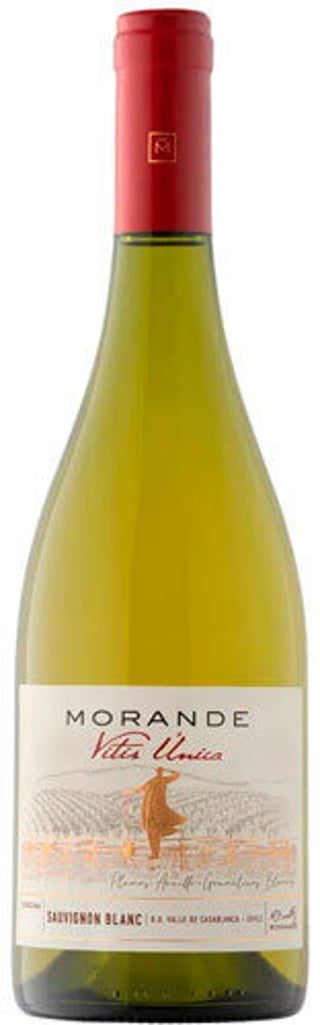 Morande Vitis Unica Sauvignon Blanc 2022