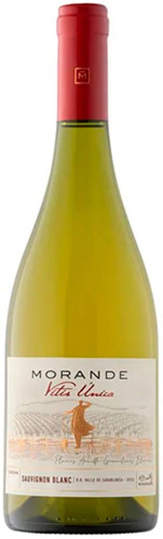 Morande Vitis Unica Sauvignon Blanc 2023