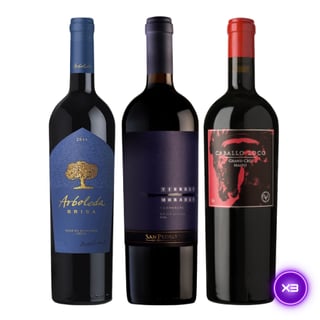 Pack 3x Vinos Ícono - Tierras Moradas + Arboleda Brisa + Caballo Loco Maipo 750ml