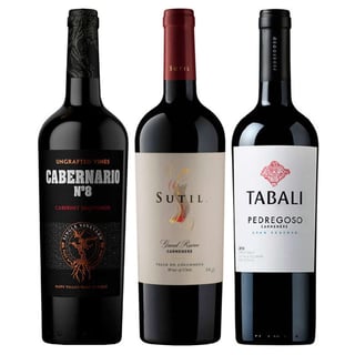 PACK CABERNARIO, SUTIL Y PEDREGOSO: 1x Vino Cabernario Black Blend 750cc + 1x Vino Sutil Gran Reserva Carmenere 750cc + 1x Vino Tabali Pedregoso Gran Reserva Carmenere 750cc