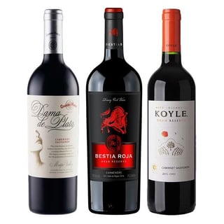 PACK GRAN RESERVA Nº11: 1x Vino Dama de Plata de Cousiño Macul Cabernet Sauvignon 750cc + 1x Vino Bestia Roja Gran Reserva Carmenere 750cc 1x Vino Koyle Gran Reserva Cabernet Sauvignon 750cc