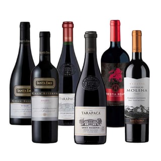 PACK GRAN RESERVA Nº3: Vino Santa Ema Gran Reserva Syrah 750cc + Vino Santa Ema Gran Reserva Malbec 750cc + Vino Tarapacá Gran Reserva Cabernet Sauvignon 750cc + Vino Tarapacá Gran Reserva Carmenere 750cc + Vino Bestia Roja Gran Reserva Cabernet Sauvignon 750cc + Vino Castillo de Molina Cabernet Sauvignon 750cc