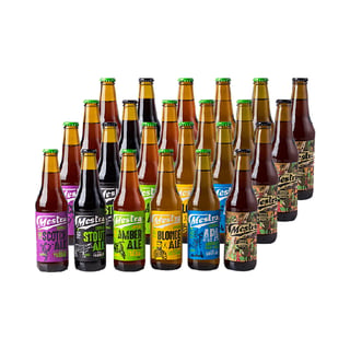 Pack Mixto Cervezas Mestra X24
