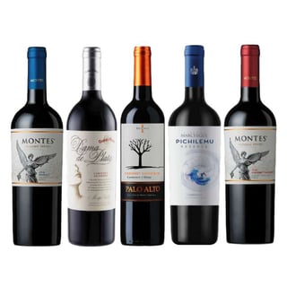 PACK RESERVAS SPRING: Vinos Montes Classic Merlot + Dama de Plata Cabernet + Palo Alto Cab/Car/Shir + Pichilemu Carmenere + Montes Classic Cabernet