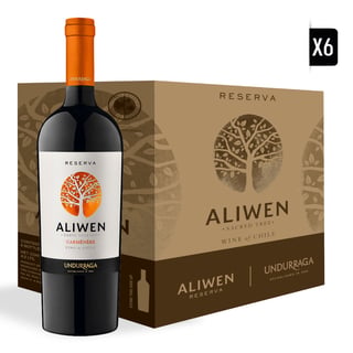 Pack Vino 6 Undurraga Aliwen Carmenere 750cc