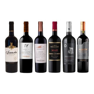 Pack Vino Especial Carmenere 750cc