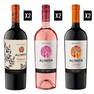 Pack Vino Undurraga Aliwen 750cc