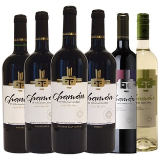 Pack Vinos Santa Cruz Gran Reserva Y Reserva 750cc