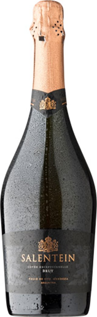 Salentein Espumante Brut 750cc