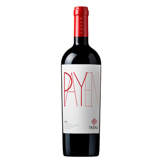 Tabali Payen Syrah 750 Ml