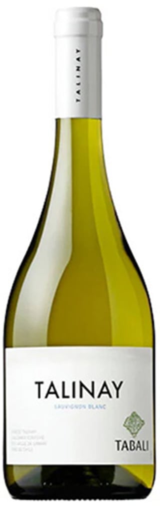 Tabali Talinay Sauvignon Blanc 2024