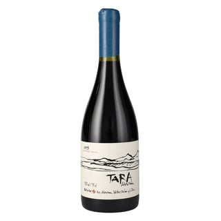 Tara Atacama Syrah