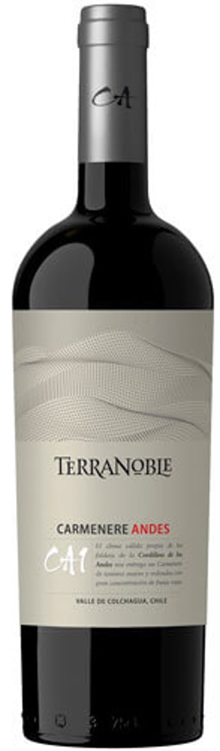 Terranoble Ca1 Andes Carmenere 2021