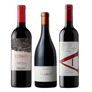 TRIO VIK - COYAM - BAUZA: 1x Vino VIK A Carmenere 750cc + 1x Vino Orgánico COYAM 750cc + 1x Vino Ícono Casa Bauzá Isabel 750cc
