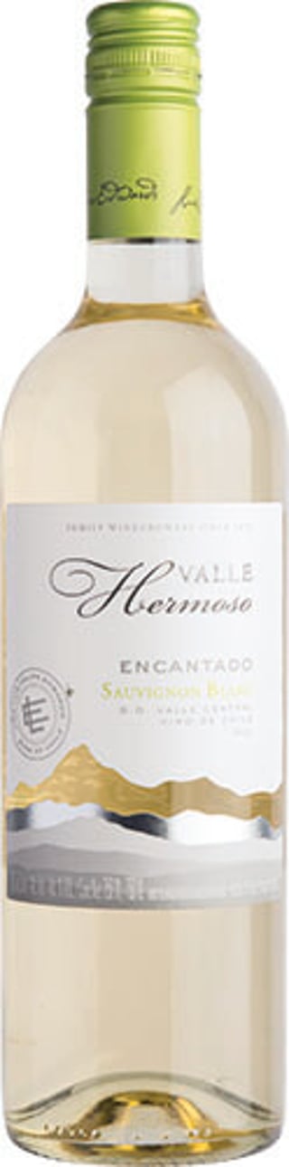 Valle Hermoso Encantado Sauvignon Blanc 2024