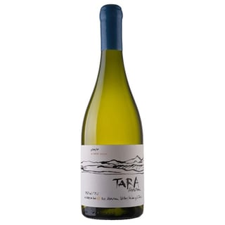 Ventisquero Tara Sauvignon Blanc 750 Ml