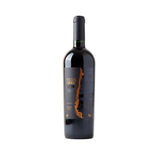 Vicus Orbis Icono Ensamblaje