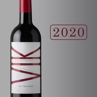 Vik Icono 2020