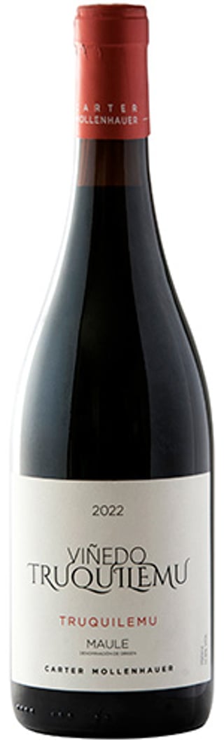 Viñedo Truquilemu Vigno 2022