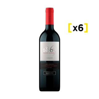 Vino 1865 Carmenere Botella 750cc X6