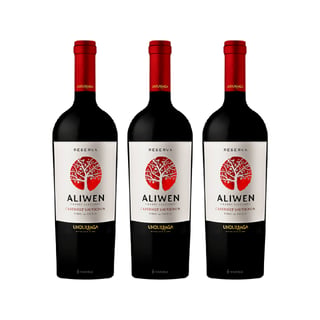 Vino Aliwen Cabernet Sauvignon Botella 750cc X3