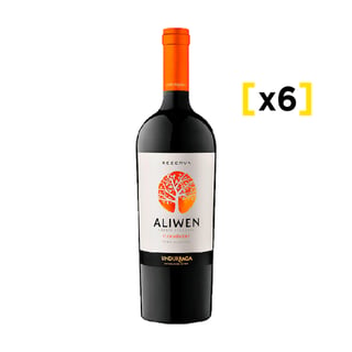 Vino Aliwen Carmenere Botella 750cc X6