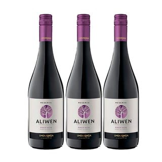 Vino Aliwen Pinot Noir Botella 750cc X3