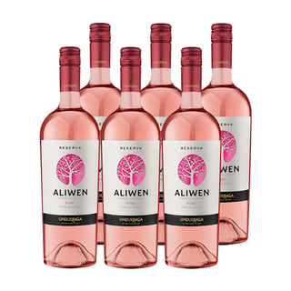 Vino Aliwen Rose Botella 750cc X6